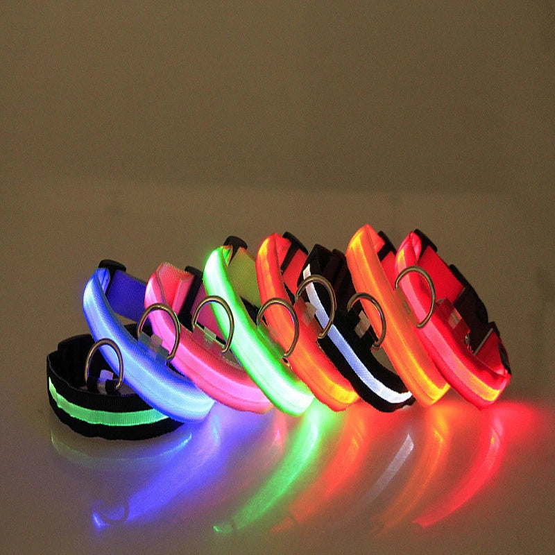 Set of colorful LED dog collars on a reflective surface with a neutral background