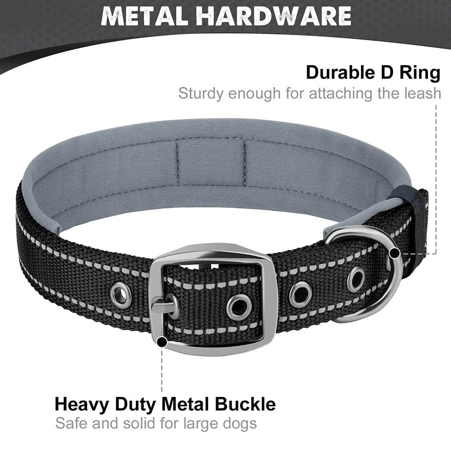 Dog collar with metal hardware on a gray background