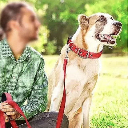 Padded Dog Collars Reflective Adjustable Heavy Duty Nylon Neoprene