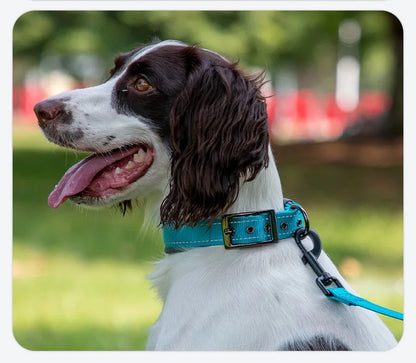Padded Dog Collars Reflective Adjustable Heavy Duty Nylon Neoprene