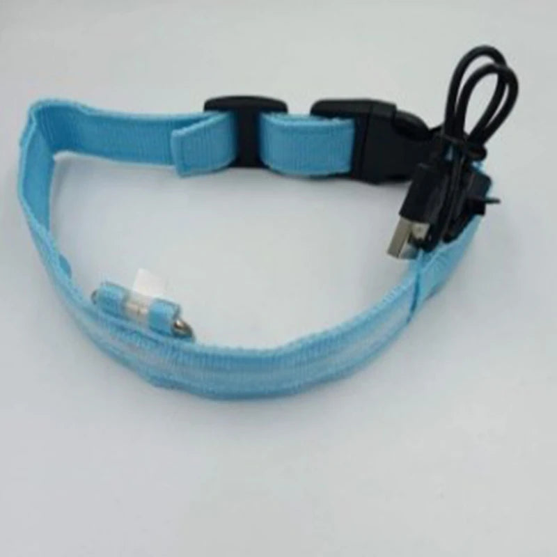 Blue LED pet collar with USB cable on a white background