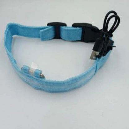 Blue LED pet collar with USB cable on a white background