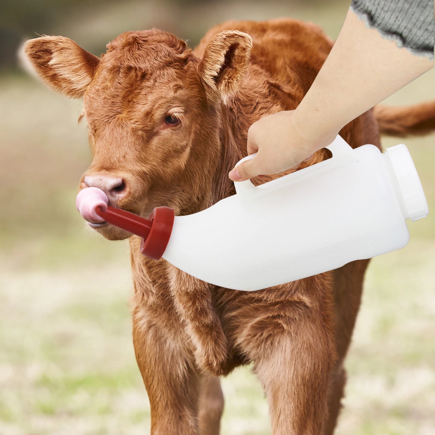 Calf Milk Feeding Bottle Calf Nursing