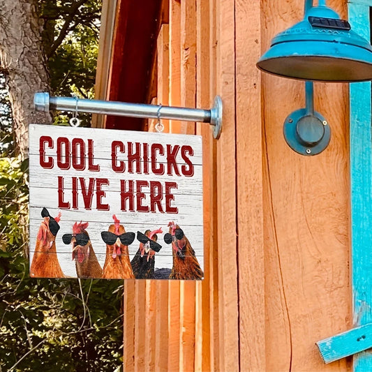 Metal Sign with Cool Chicks Live Here, Chickens wearing Sunglasses.