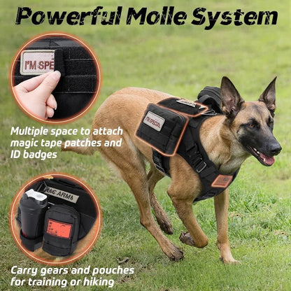 Dog wearing a tactical harness with 'I'm Spe' and 'RAC AFTRA' patches on a grassy background.