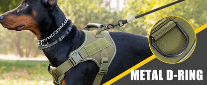 Dog wearing a green harness with metal D-ring on a blurred natural background