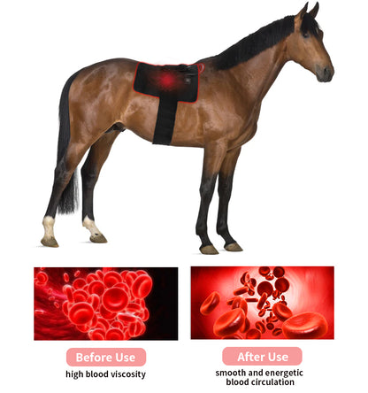 Pain Relief LED Red Light Infrared Machine For Horse Back Therapy