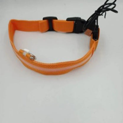 An orange reflective safety strap or harness band with black plastic buckles and a black cord, laid flat on a light gray background.