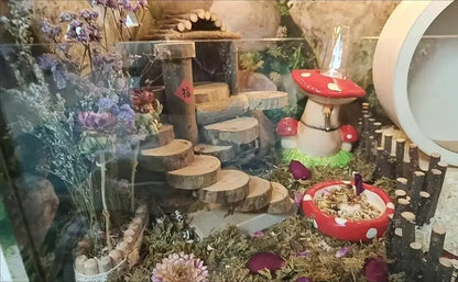 Mushroom Ceramic Hamster Hideout Water Bottle with Stand Food Bowl Hamster Accessories Golden Bear Furniture Sleephouse House