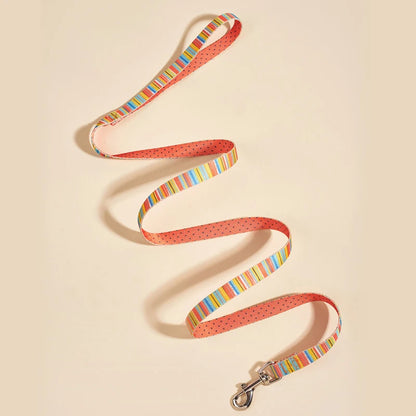 Colorful Silk-Print Cat & Dogs Lead Rope Fashion Nylon Dog Leashes
