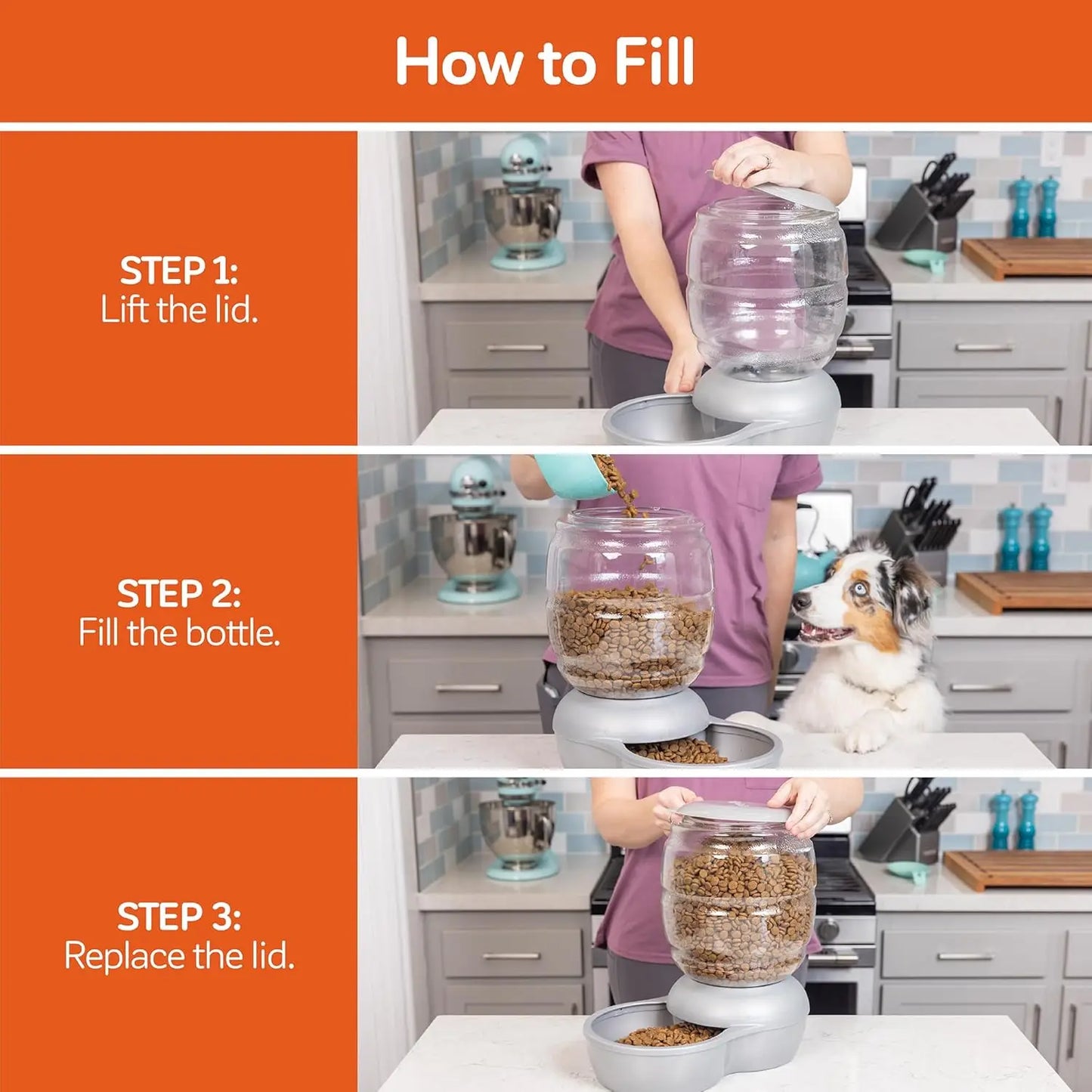 Automatic Pet Feeder for Cats and Dogs, 5 LB Capacity,