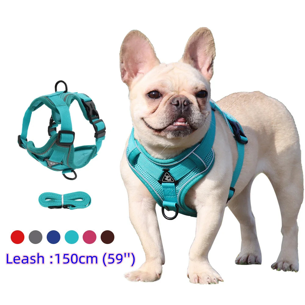 Harness and Leash Set For Small Dog French Bulldog Pug Pitbull Puppy