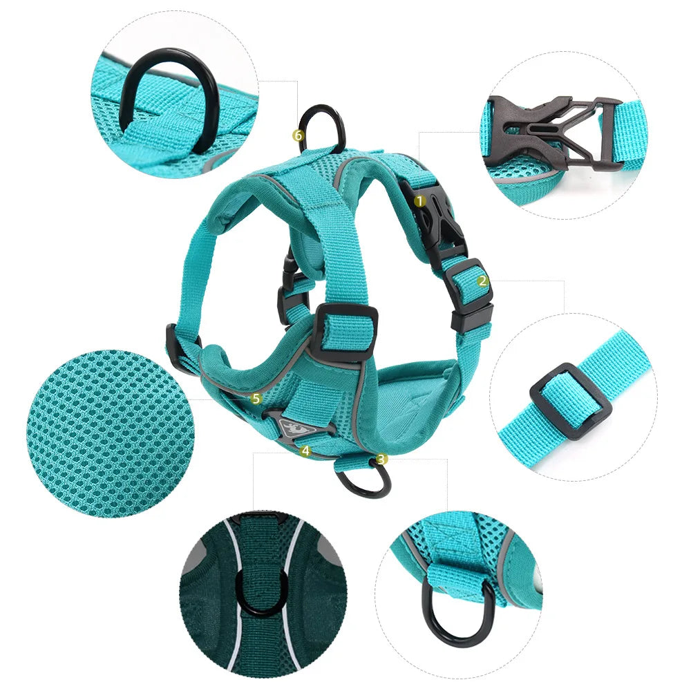 Harness and Leash Set For Small Dog French Bulldog Pug Pitbull Puppy