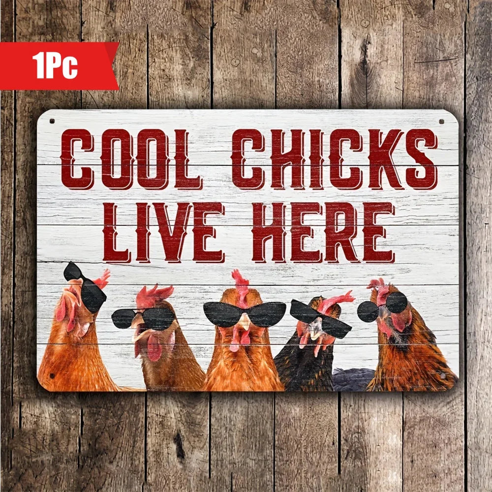 A rectangular metal sign with a rustic white wood background and red text reading 'COOL CHICKS LIVE HERE,' featuring five illustrated chickens wearing black sunglasses, displayed against a brown wood plank backdrop. A red '1Pc' label appears in the top-left corner.