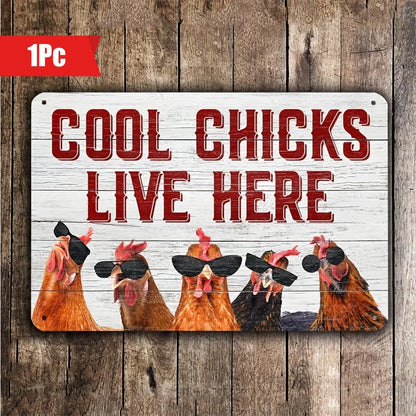 A rectangular metal sign with a rustic white wood background and red text reading 'COOL CHICKS LIVE HERE,' featuring five illustrated chickens wearing black sunglasses, displayed against a brown wood plank backdrop. A red '1Pc' label appears in the top-left corner.