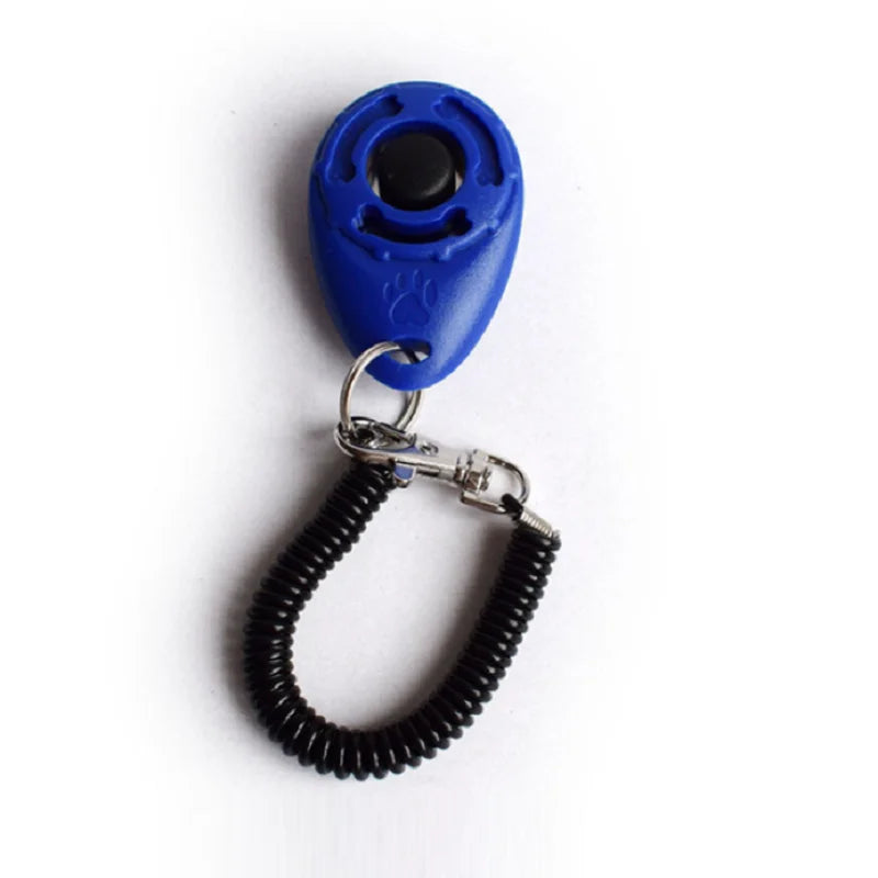 Blue and black keychain device on a white background