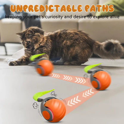 Speedy Tail 2.0 – Interactive Cat Ball Toy