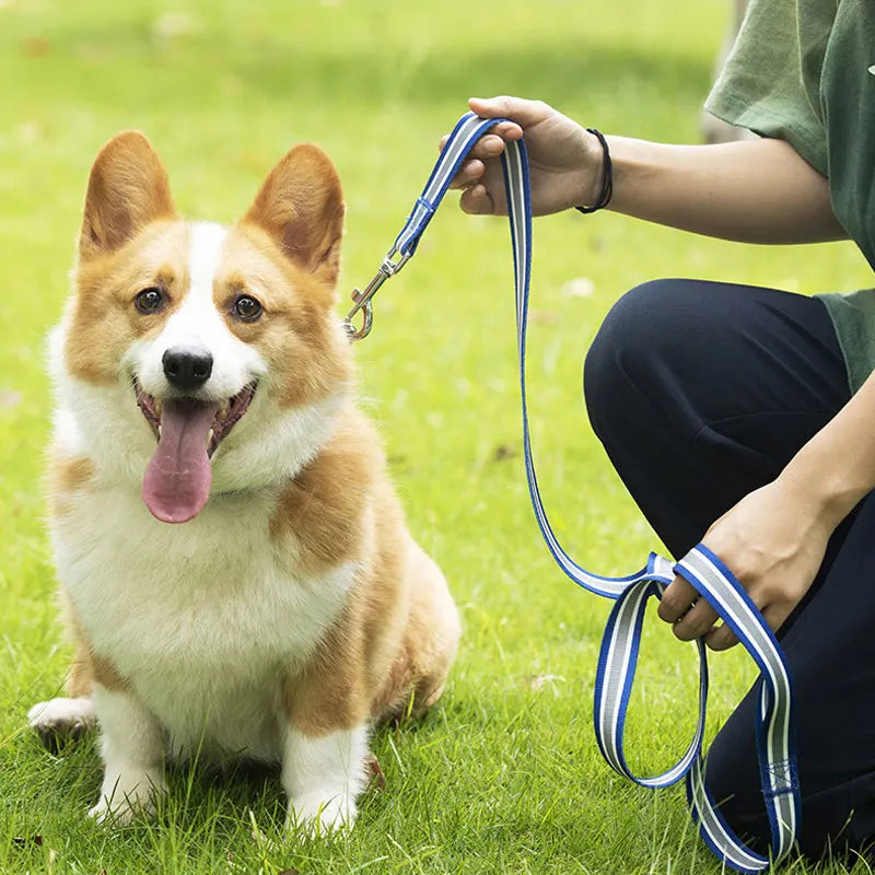Rainbow Dog Rope Large Medium And Small, Traction Rope Snap On Pet Collar