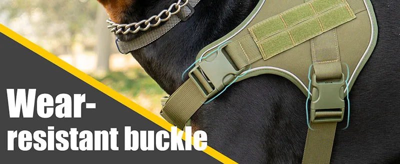 Horse wearing a green harness with a wear-resistant buckle, outdoor setting.