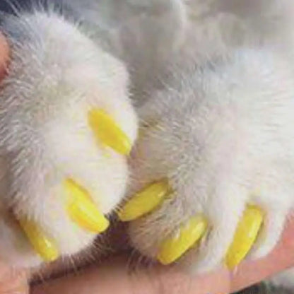 Close-up of a fluffy white paw with yellow nails on a blurred background