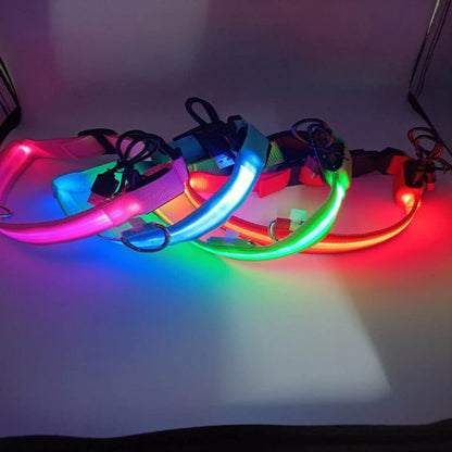 Colorful LED dog collars on a white surface with a dark background