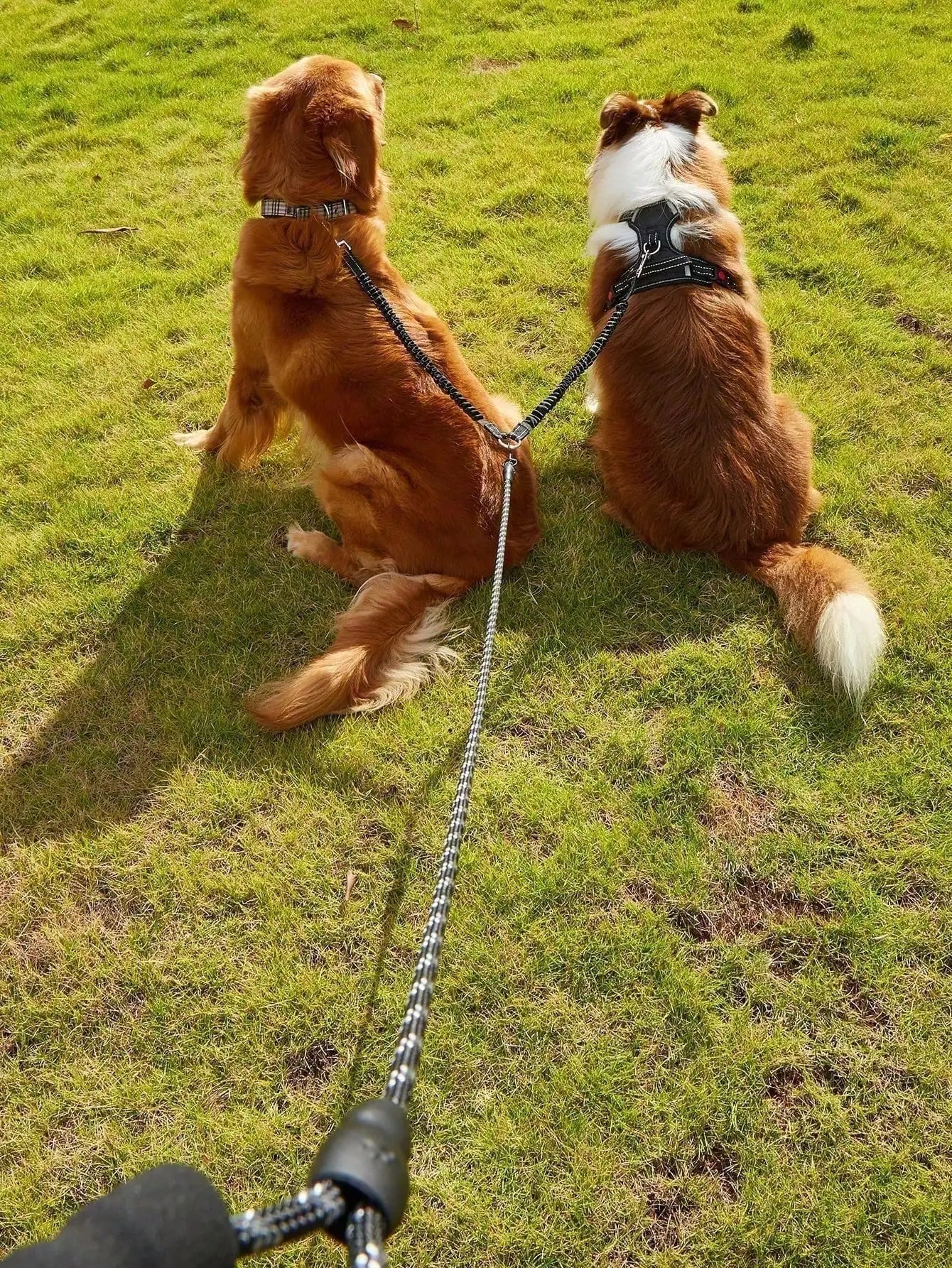 Retractable Dog Leash With Reflective Strip Outdoor Pet Walking Leash