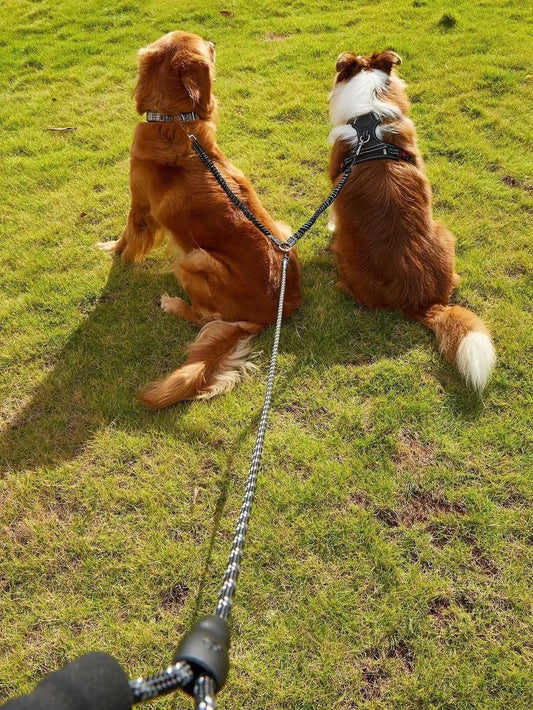 Retractable Dog Leash With Reflective Strip Outdoor Pet Walking Leash