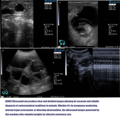 Portable Veterinary Ultrasound Scanner for Pig Sheep Cattle Horse Dog