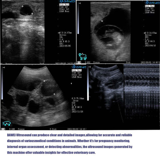 Portable Veterinary Ultrasound Scanner – Handheld Imaging for Livestock & Pets