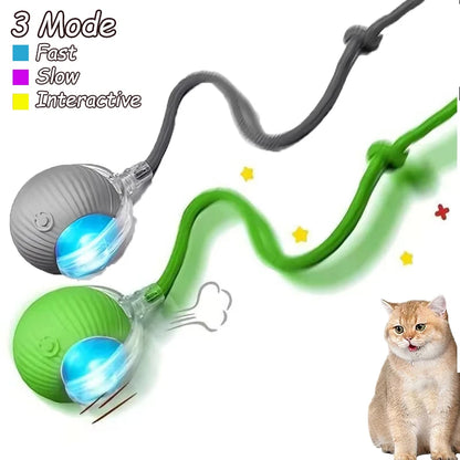 2Pcs Cat Interactive Ball Toys Automatic Rolling Ball Faux Tail Rechargeable