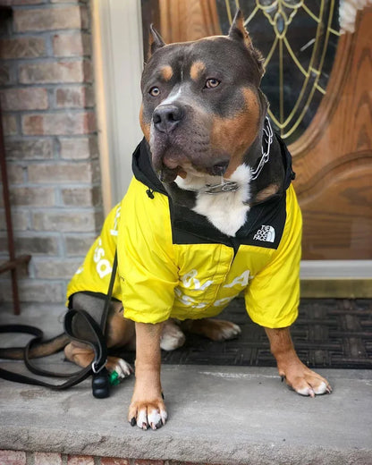Dog wearing a yellow raincoat with a brand logo, standing on a doorstep.