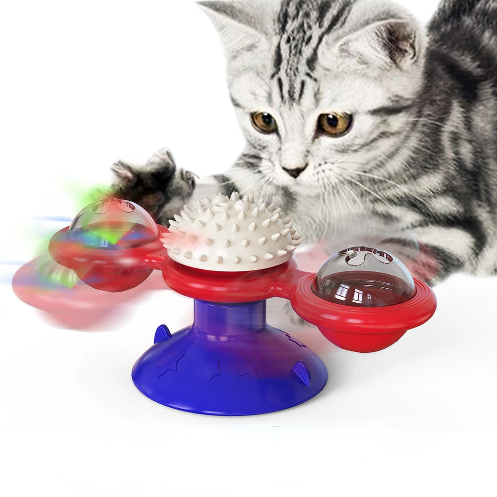 Cat playing with a colorful rotating toy