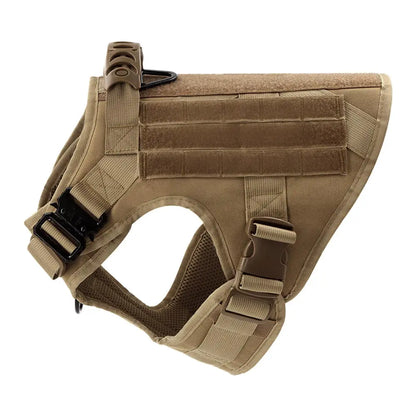 Large Dog Harness And Leash Set