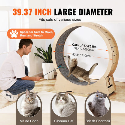 Wooden Cat Exercise Whee