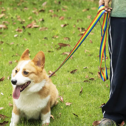 Rainbow Dog Rope Large Medium And Small, Traction Rope Snap On Pet Collar