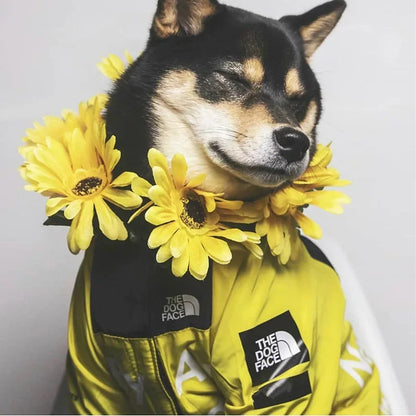 Dog wearing a yellow outfit with 'The Dog Face' logo, surrounded by yellow flowers.