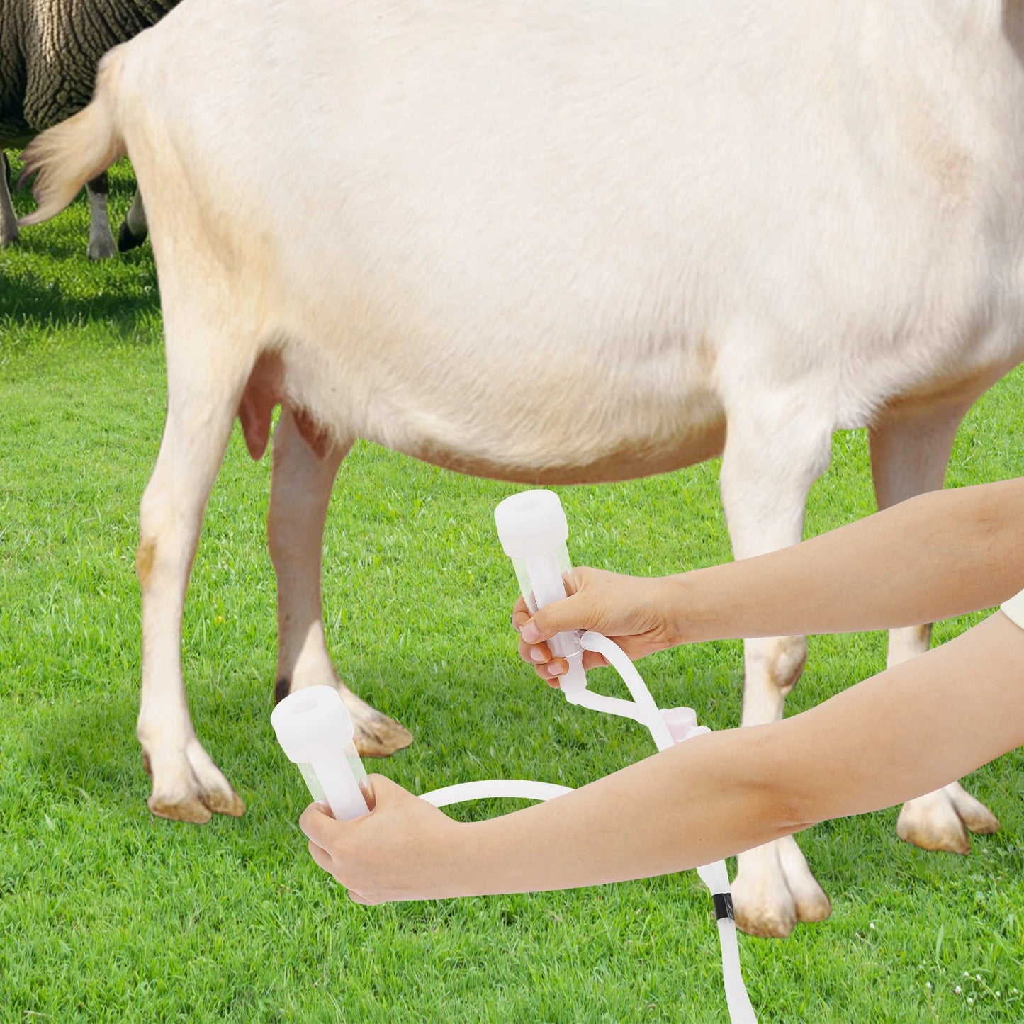 5L/10L Electric Cow Milking Machine Speed Pulsating Vacuum Pump