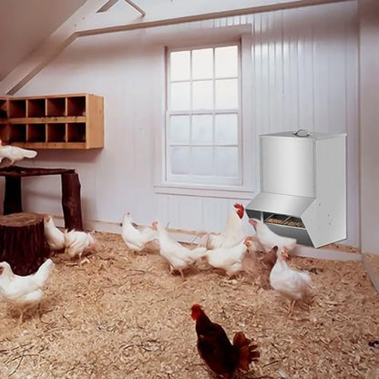 Galvanized Chicken Feeder Poultry