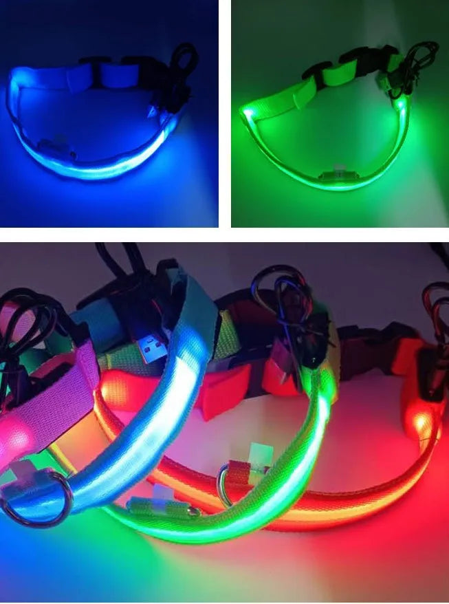 Battery Collar Nylon LED Night Safety Flashing Glow in The Dark