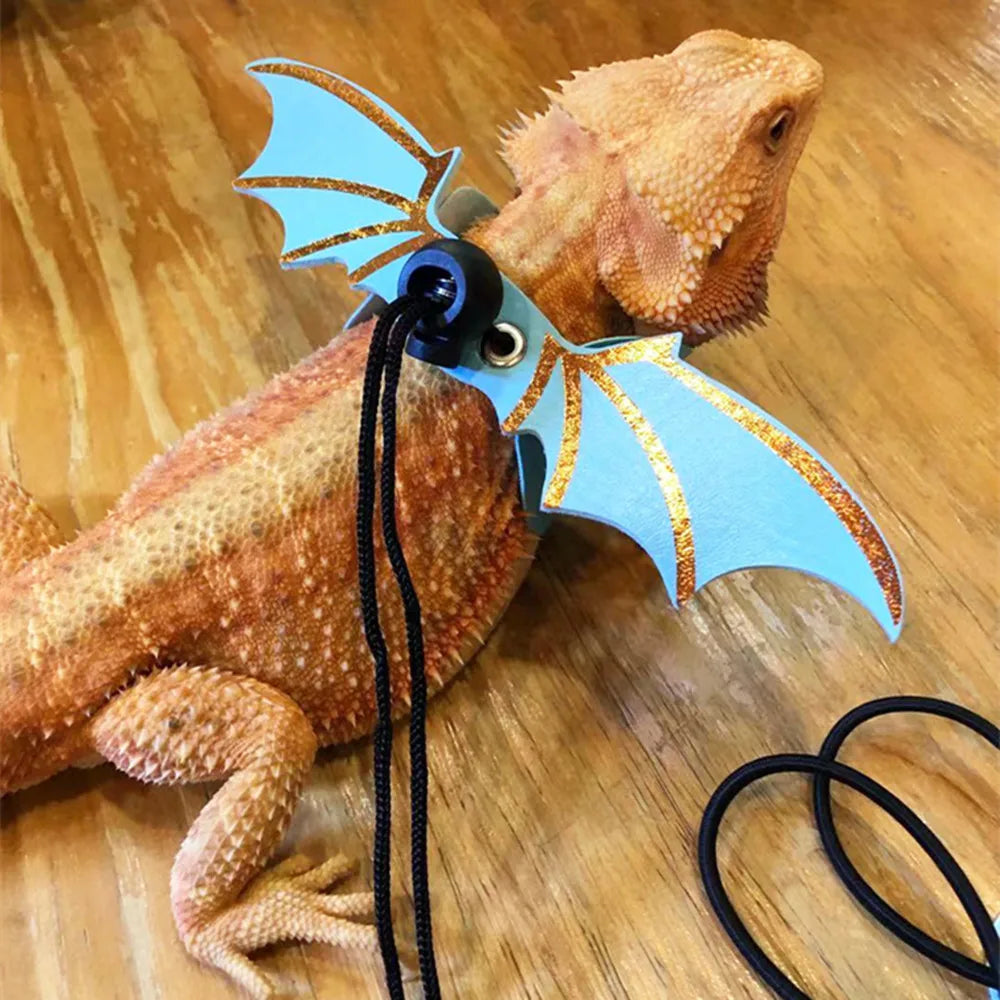 3 Pcs Adjustable Bearded Dragon Leash With Bat Wings Lizard Harness