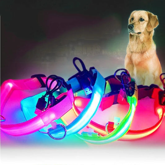 Four glowing LED dog collars in pink, blue, red, and green, displayed in front of a golden retriever dog on a dark background.