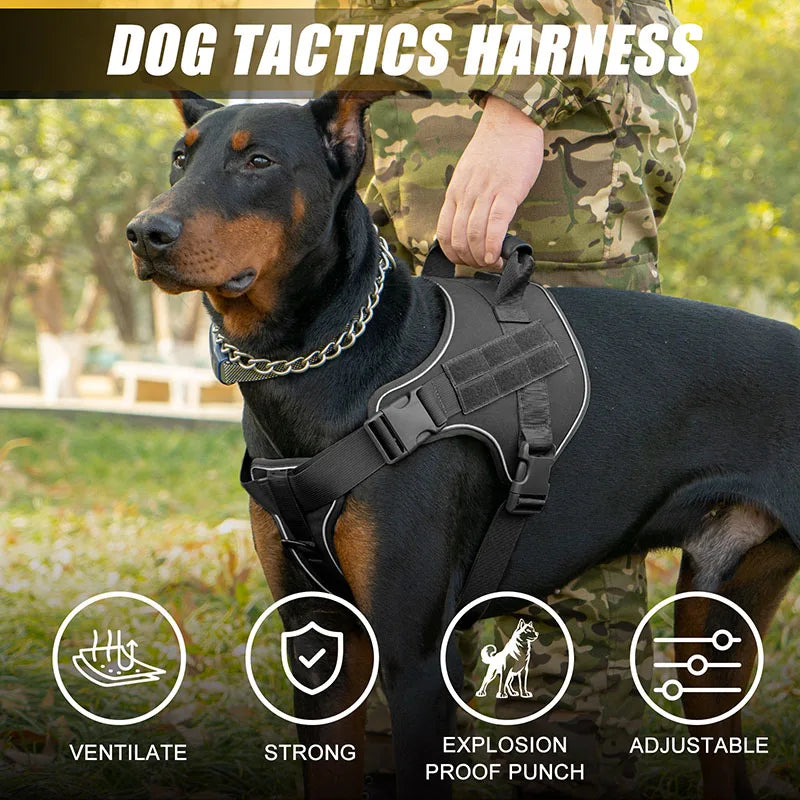 Dog wearing a tactical harness with a person in camouflage clothing, set against a natural background.