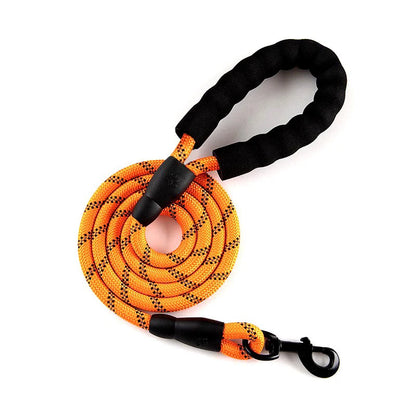 Orange dog leash with black handle and clip on a white background
