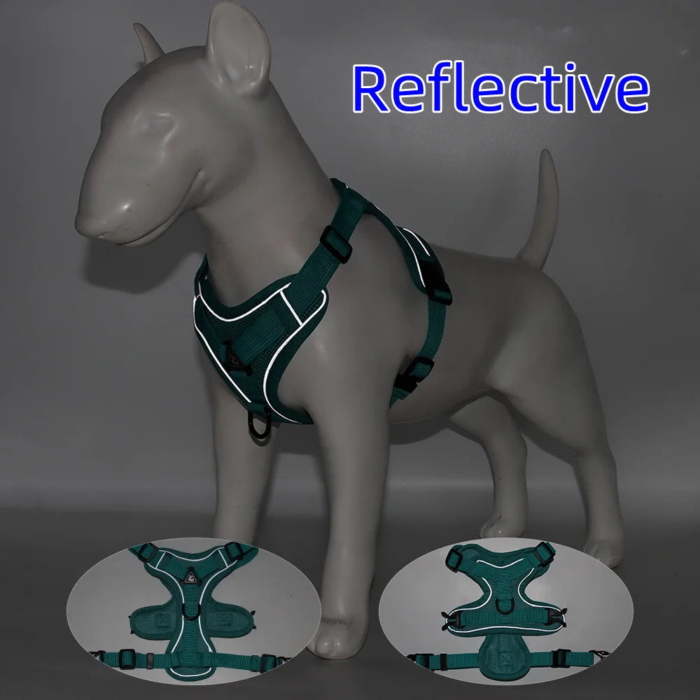 Harness and Leash Set For Small Dog French Bulldog Pug Pitbull Puppy