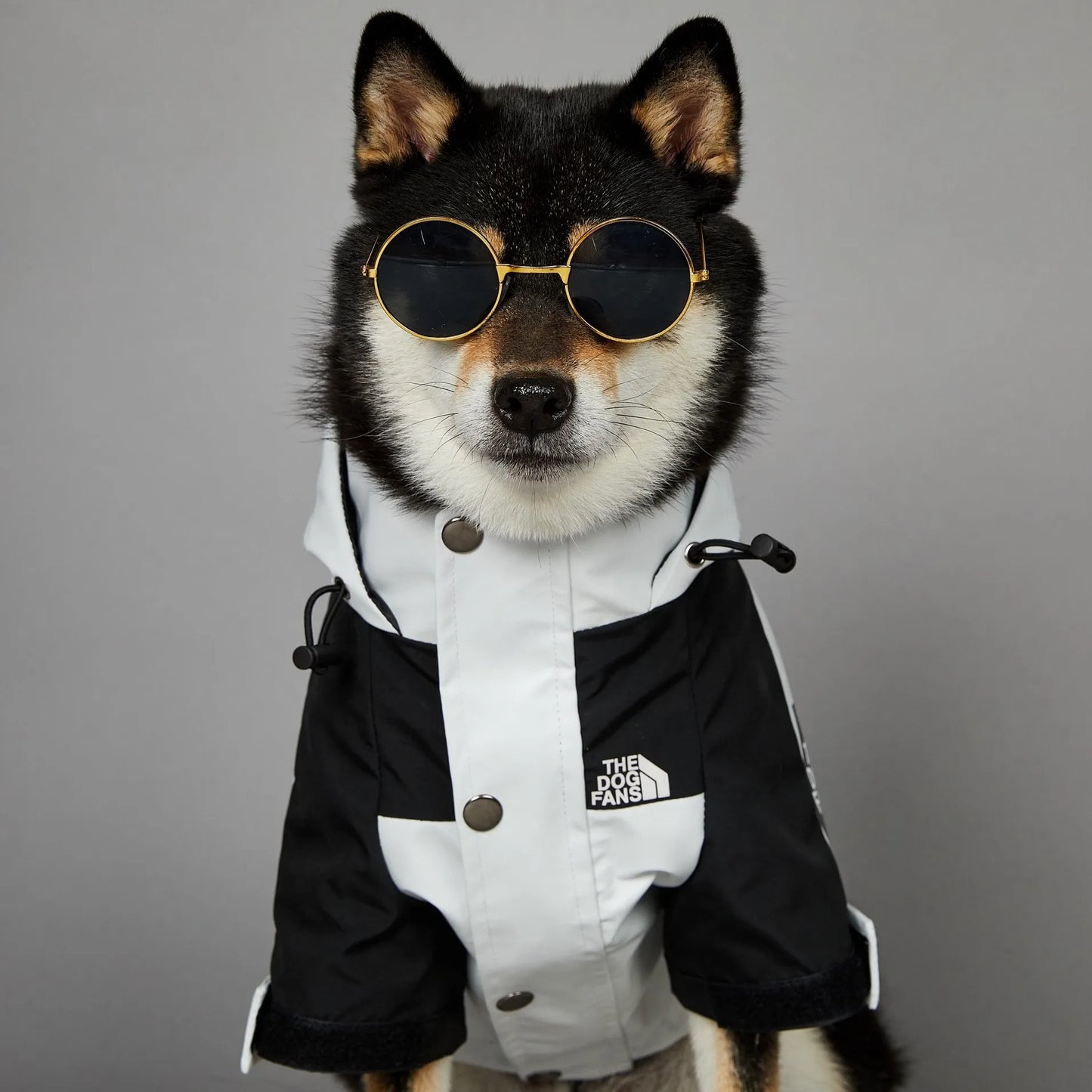 Dog Raincoat For Small Big Dogs Wind Coat Windbreaker Hoodie