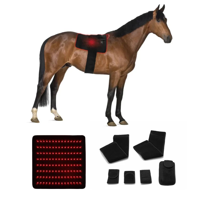 Pain Relief LED Red Light Infrared Machine For Horse Back Therapy