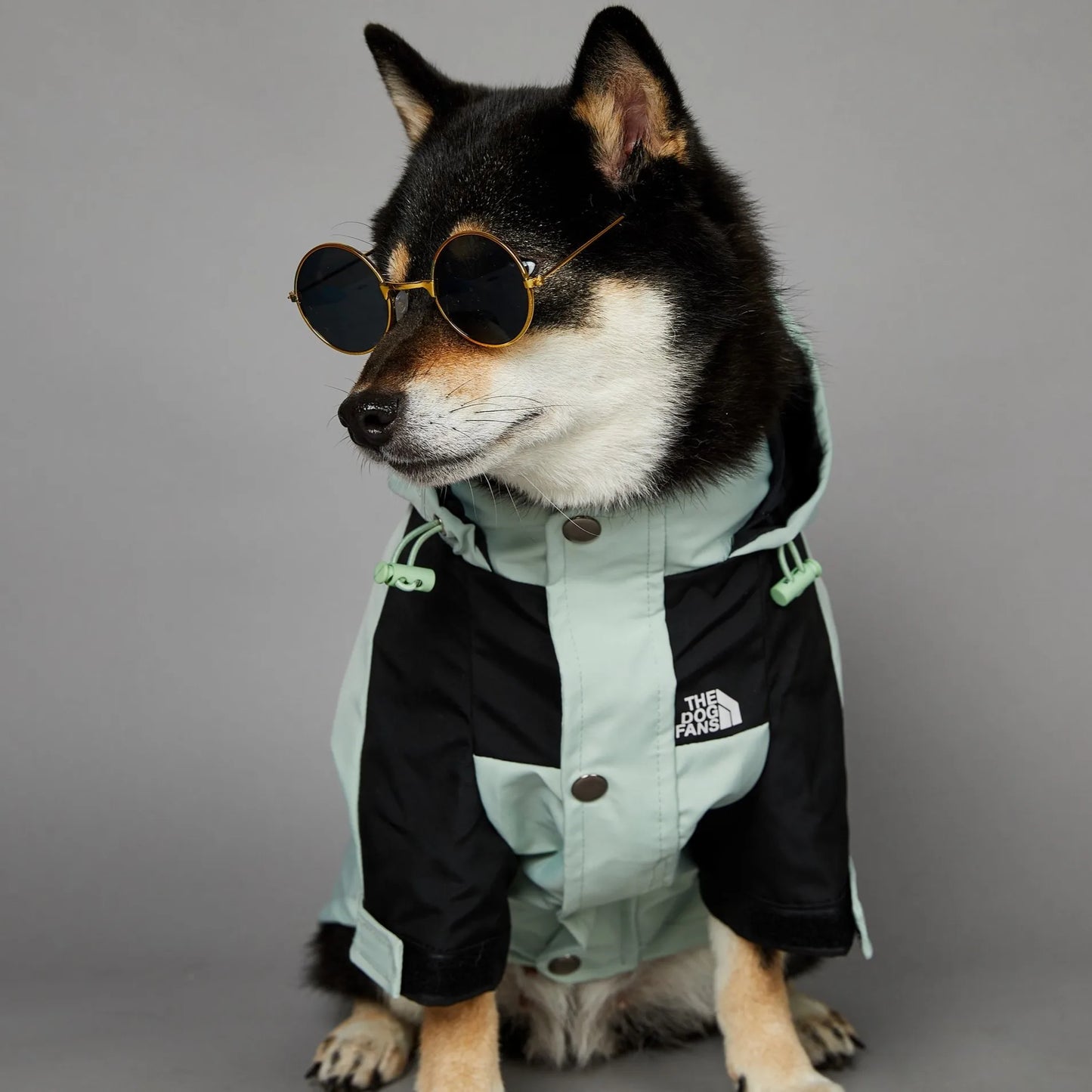 Dog Raincoat For Small Big Dogs Wind Coat Windbreaker Hoodie