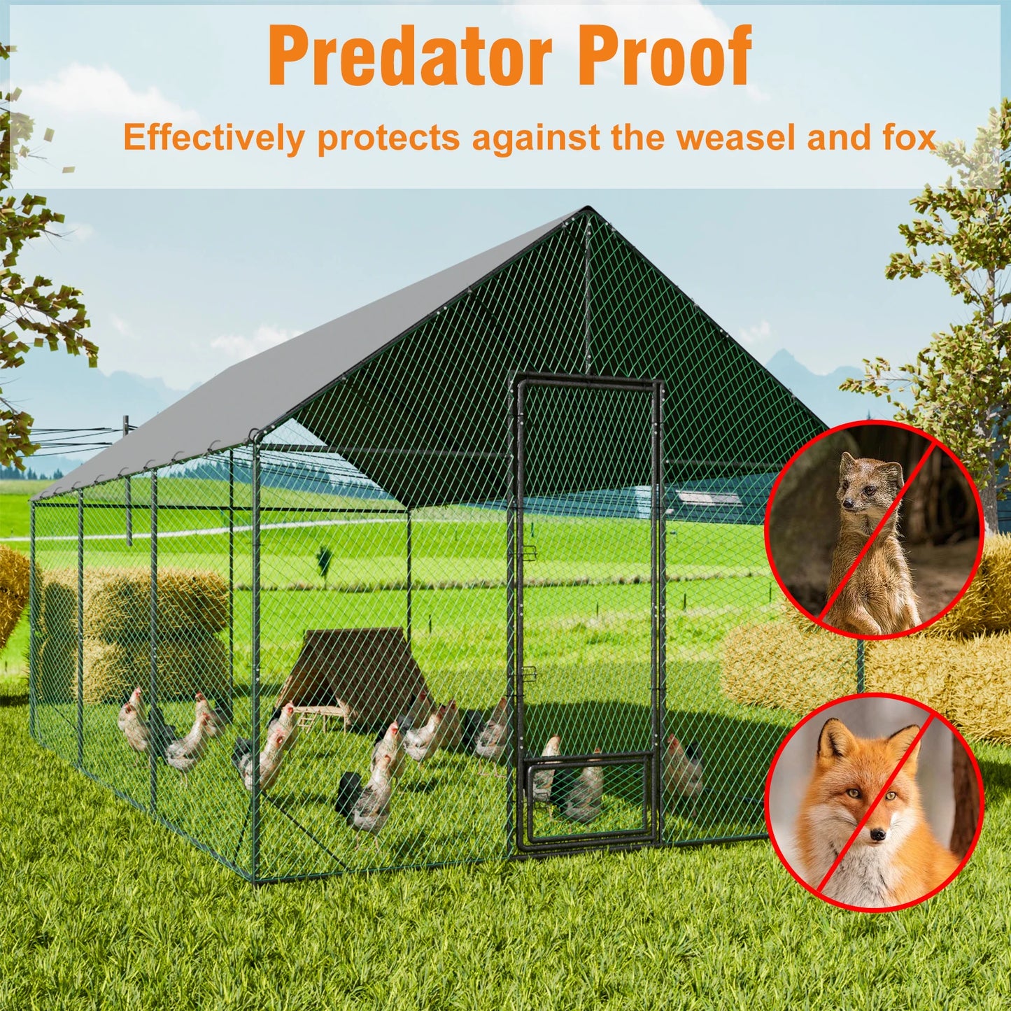 Large Upgrade Metal Chicken Coop Walk-in Poultry Run with Nylon Netting