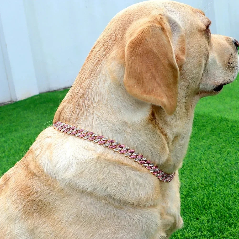 Dog wearing a braided pink collar on a grassy background