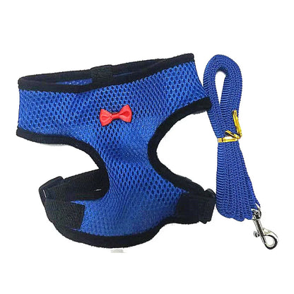 Blue dog harness with a red bow tie and matching leash on a white background